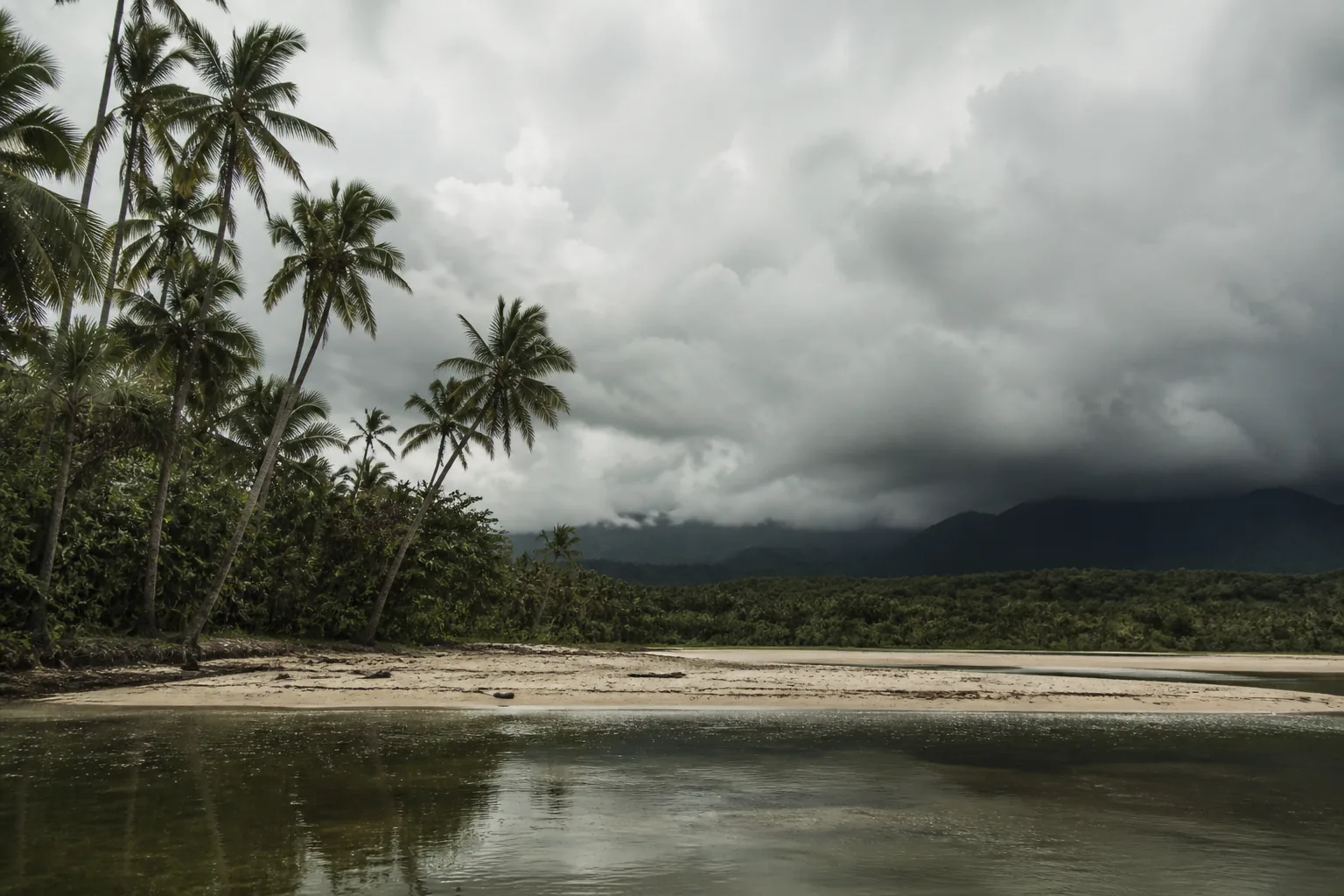 A humid tropical coastline: palm trees leaning over an empty beach under building monsoon cloud (AI-generated image)