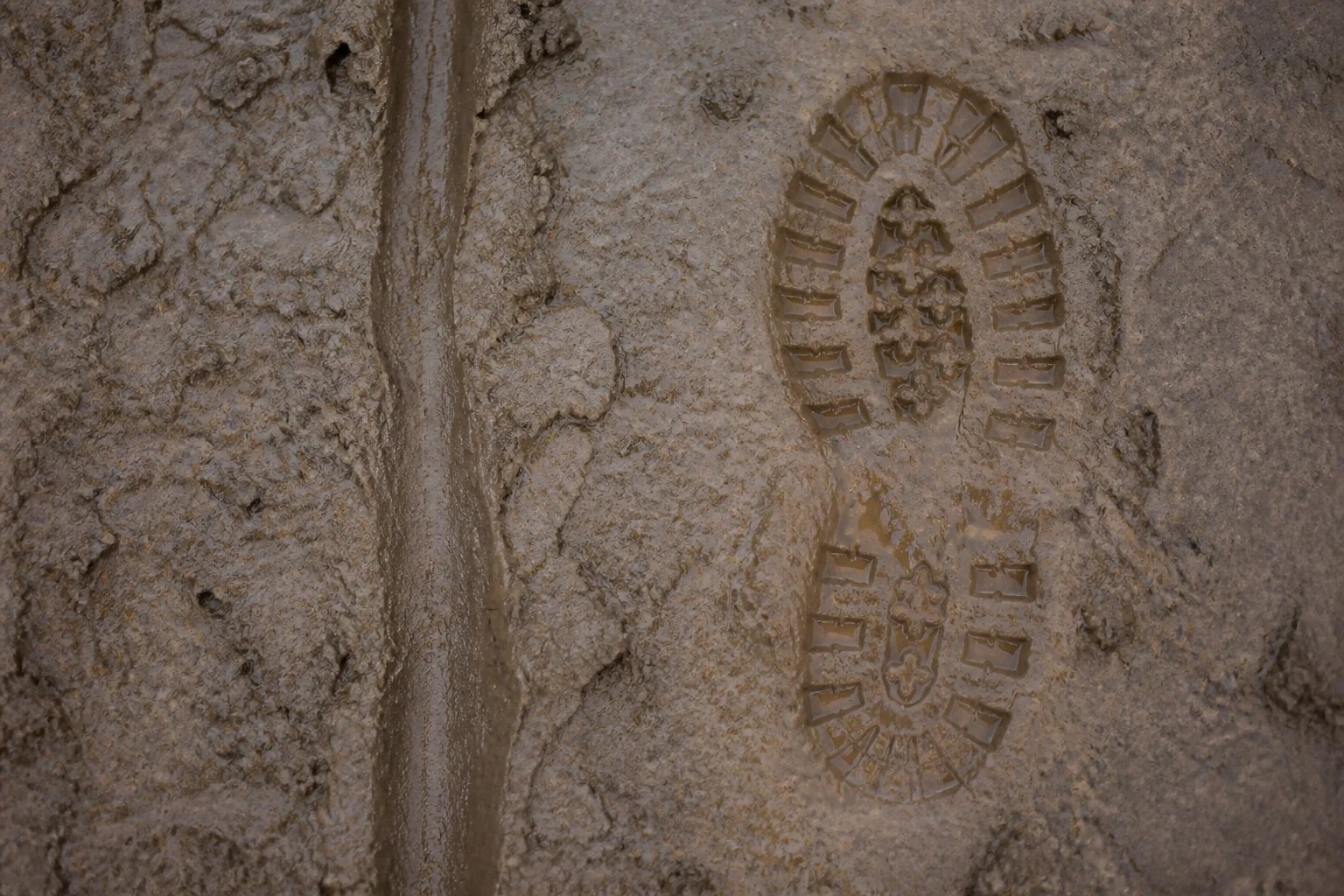 A set of boot prints beside a single track mark in the same patch of wet clay (AI-generated image)