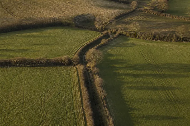 Open farmland crossed by old hedgerows and a sunken lane, low winter sun raking across it from elevation (AI-generated image)