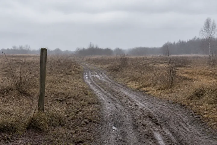 A rutted track through a wet training area with a wooden marker post beside it (AI-generated image)
