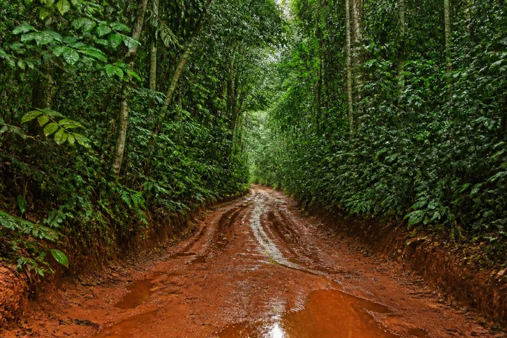 A laterite road cut through dense jungle, red mud and standing water between green walls (AI-generated image)