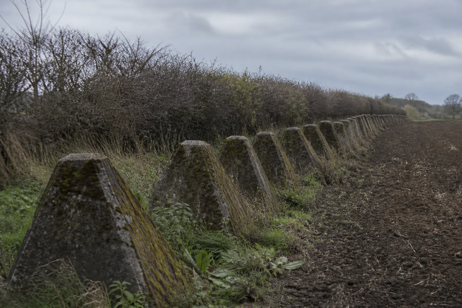 A concrete anti-tank obstacle line crossing farmland, moss growing on the blocks (AI-generated image)